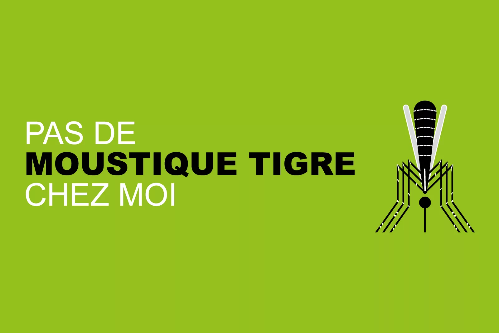 Luttons contre le moustique tigre. Coupons- lui l’eau !